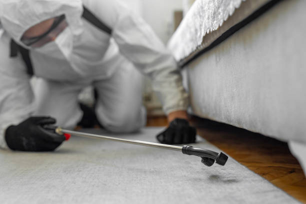 Professional Ant Control technician working in Stockdale, TX